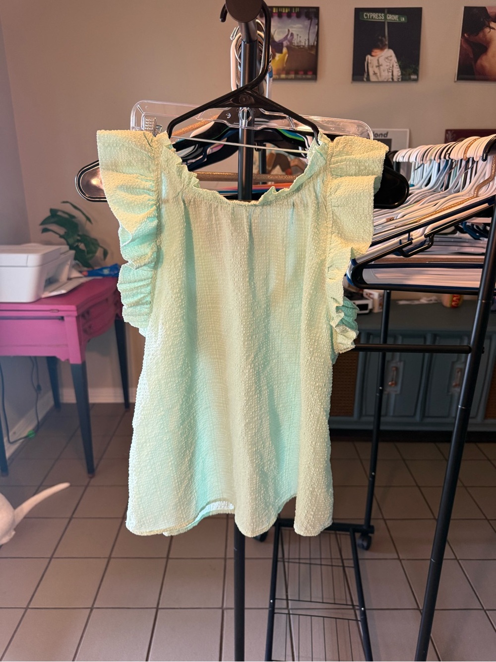 Ruffled Sleeve Women's Top in Mint Green